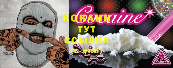 прущая мука Вяземский